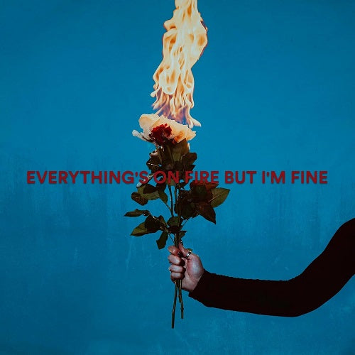 As December Falls Everythings On Fire But Im Fine New CD Presale