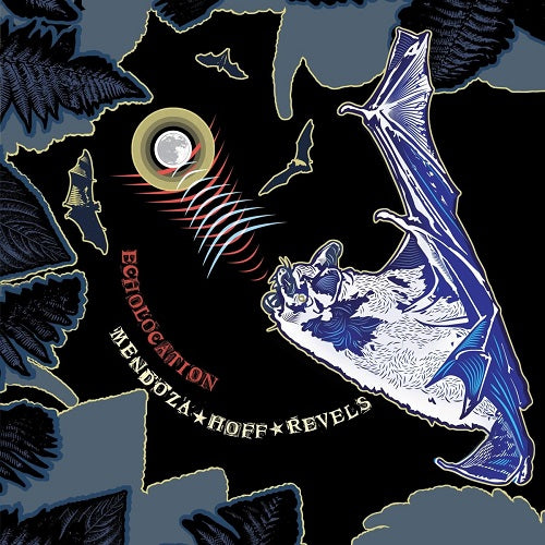 Ava Mendoza & Devin Hoff Revels Echolocation And New CD