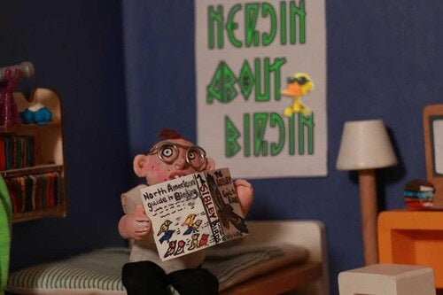 AVEM Nerdin About Birdin New CD