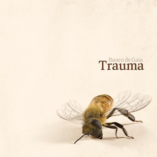 Banco de Gaia Trauma New CD