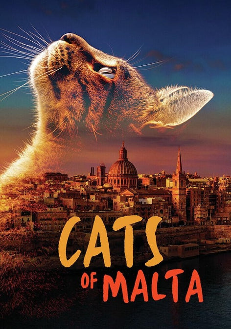 Cats Of Malta (Polly March Roza Zammit Salinos Isaac Muscat) New DVD