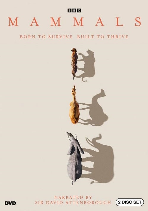 Mammals BBC David Attenborough New DVD Kishkash Entertainment mammals-bbc-david-attenborough-new-dvd-kishkash-entertainment