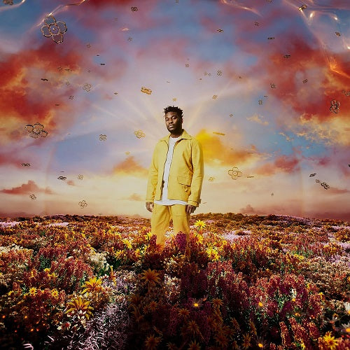 Nonso Amadi When It Blooms New CD