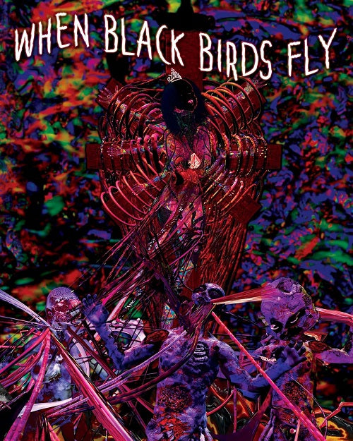 When Black Birds Fly (J.D. Brown Devanny Pinn) New Blu-ray Presale