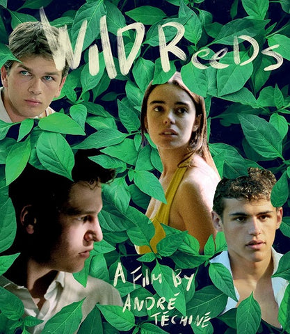 Wild Reeds (Gael Morel Stephane Rideau Elodie Bouchez) New Blu-ray