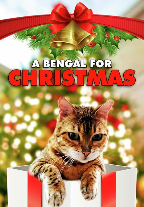 A Bengal For Christmas (Breana Mitchell Erik Anthony Russo) New DVD Presale