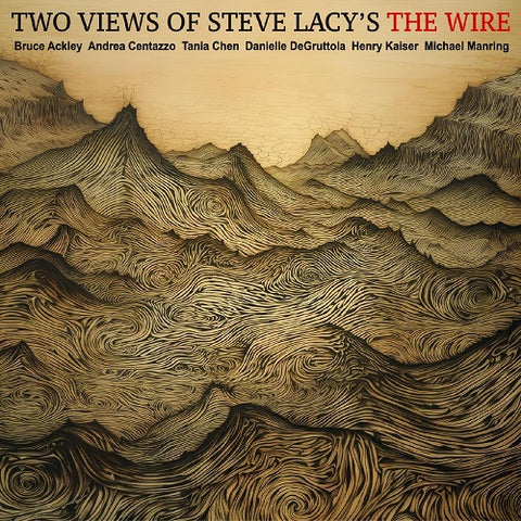 Ackley Chen Centazzo DeGruttola Kaiser Manring Two views of Steve Lacys Wire CD