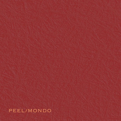 Ada Rave Peel Mondo New CD Presale