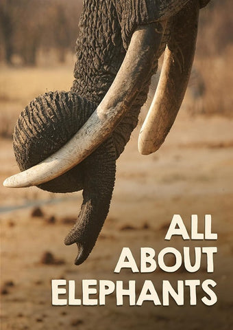 All About Elephants (Ralph Stutchbury) New DVD Presale