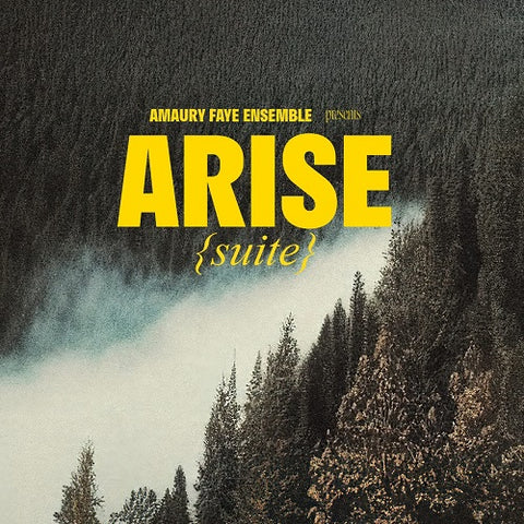 Amaury Ensemble Faye Arise (Suite) New CD