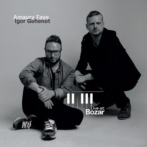 Amaury Faye Live at Bozar New CD Presale