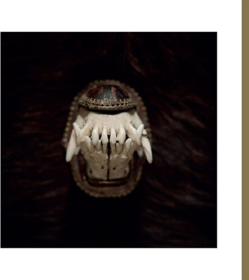 Amenra De Toorn New CD Presale