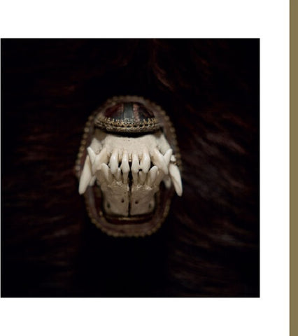Amenra De Toorn New CD Presale
