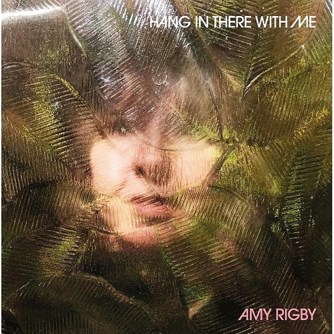 Amy Rigby Hang in There With Me New CD