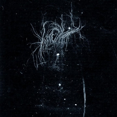 An Inverted Flame My Heart My Death Is More Beautiful Than Your Life CD Presale