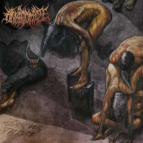 Anatomize Systematic Torture New CD Presale