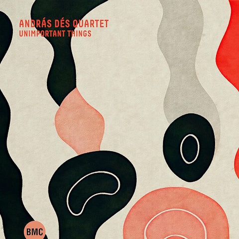 Andras Des Quartet Unimportant Things New CD