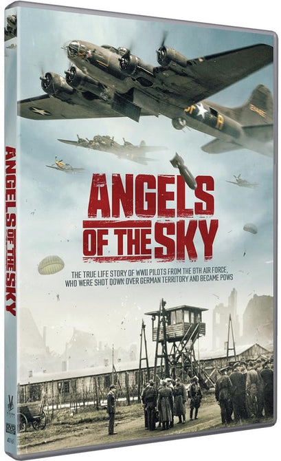 Angels Of The Sky (Robert Barney Al Terry) New DVD
