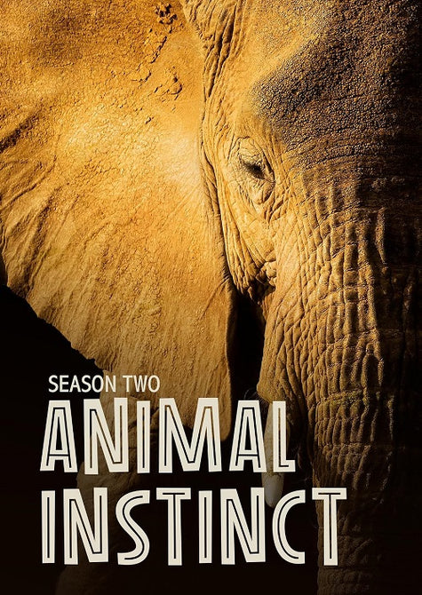 Animal Instinct Season 2 Series Two Second New DVD Presale