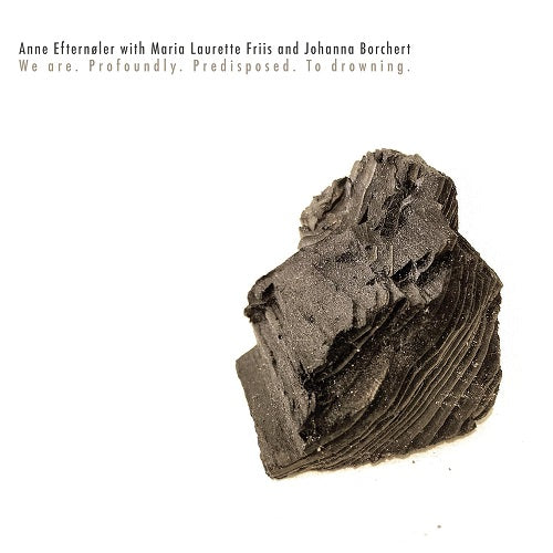 Anne Efternoler We Are Profoundly Predisposed To Drowning New CD Presale