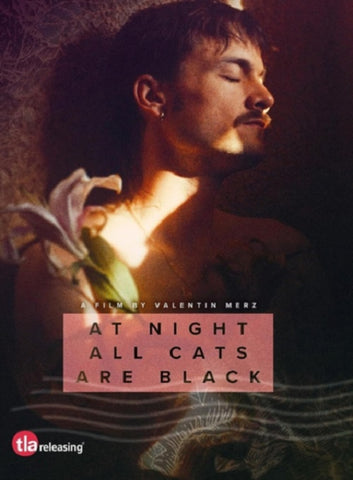 At Night All Cats Are Black (Robin Mognetti Valentin Merz) New DVD