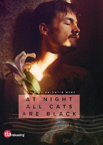 At Night All Cats Are Black New DVD