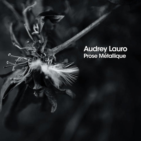 Audrey Lauro Prose Metalliqe New CD