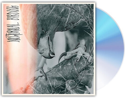 Author & Punisher Nocturnal Birding And New CD Presale