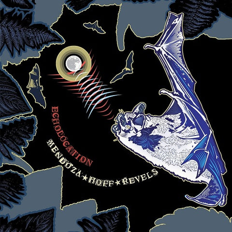 Ava Mendoza & Devin Hoff Revels Echolocation And New CD