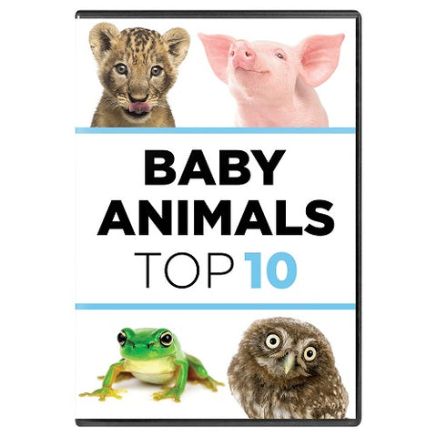 Baby Animals The Top Ten 10 3 Disc New DVD