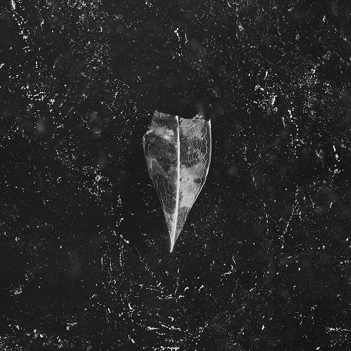 Bees Made Honey in the Vein Tree Aion New CD