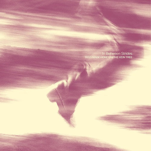 Bees Made Honey in the Vein Tree In Between Strides New CD Presale