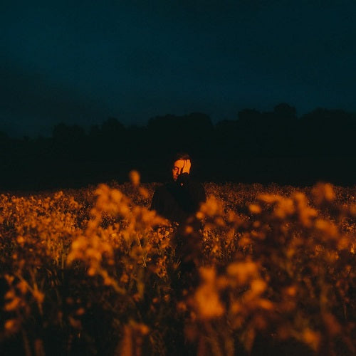 Benjamin Francis Leftwich Some Things Break New CD