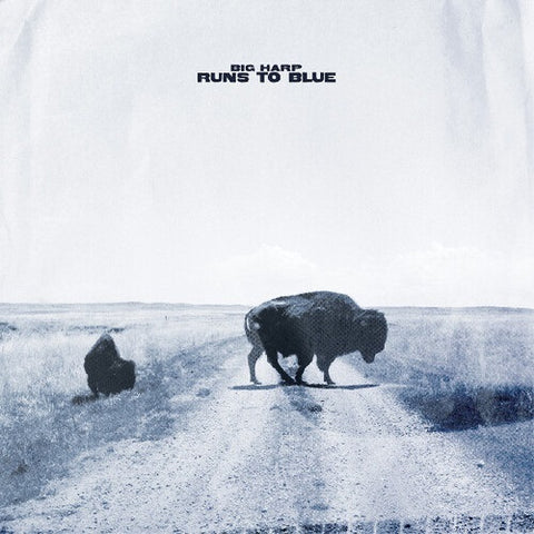 Big Harp Runs to Blue New CD Presale