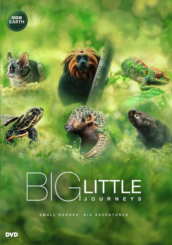 Big Little Journeys (Aaron Pierre) New DVD