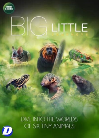 Big Little Journeys New DVD