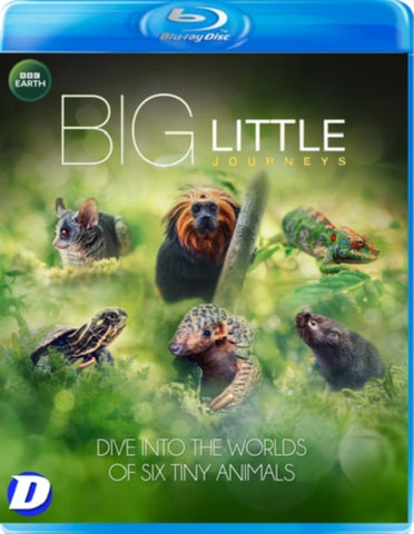 Big Little Journeys New Region B Blu-ray