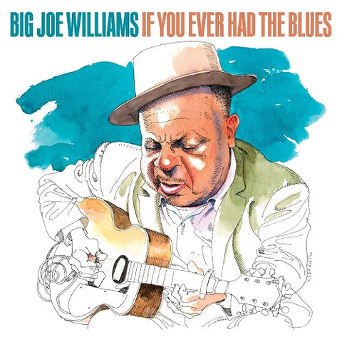 BIG WILLIAMS JOE If You Ever Had The Blues Eco Friendly Vinyl New CD Presale