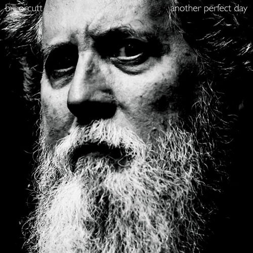 Bill Orcutt Another Perfect Day New CD Presale
