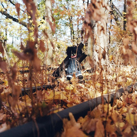 Billy Woods GOLLIWOG New CD Presale