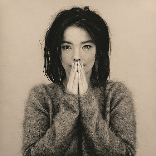 Bjork Debut New CD