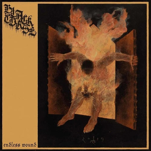 Black Curse Endless Wound New CD