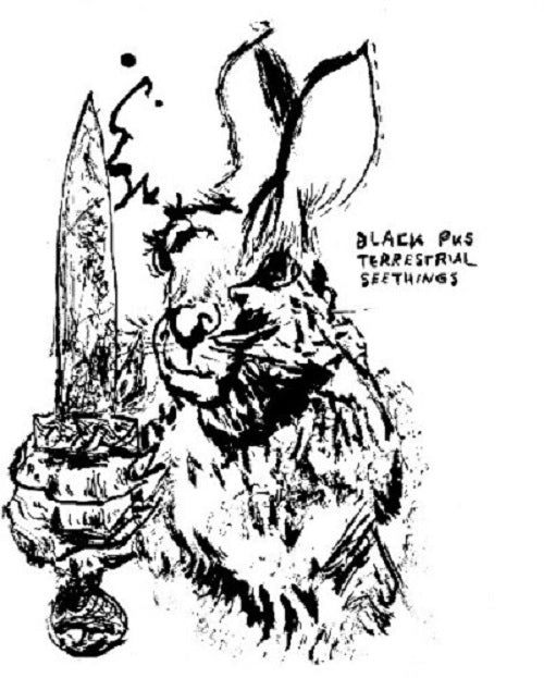 Black Pus Terrestrial Seethings New CD