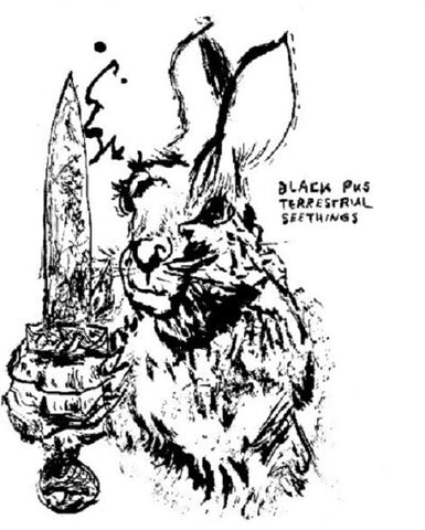 Black Pus Terrestrial Seethings New CD