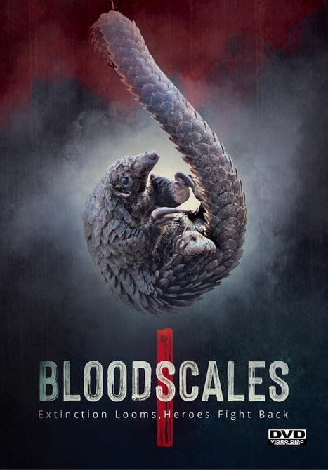 Blood Scales (Dafni Mezzadra Claudio Lo Muzio Eric Kaba Tah) New DVD
