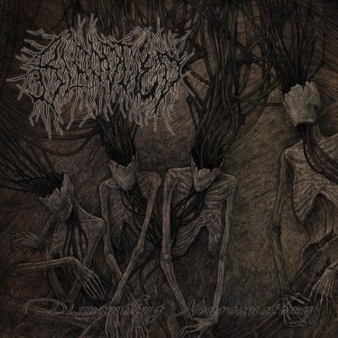 Bloodtied Dismantling Neuroanatomy New CD Presale