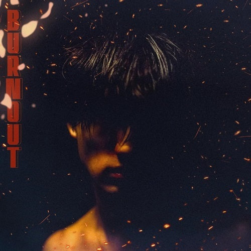 Boywithuke Burnout New CD