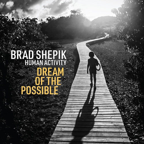 Brad Shepik Human Activity Dream of the Possible New CD