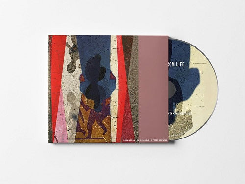 Brian Eno Drawn From Life 6 Panel 3 Fold Digipak New CD Presale