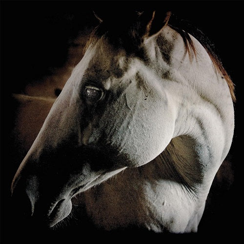 Brother Dege How to Kill a Horse New CD